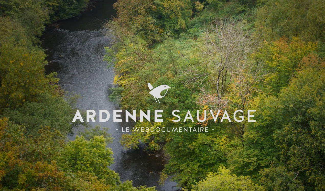 Glamping en forêt ardennaise - hébergement insolite bulle transparente