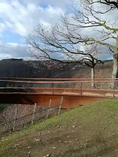 Waldlandschaft belgische Ardennen Semois-Tal