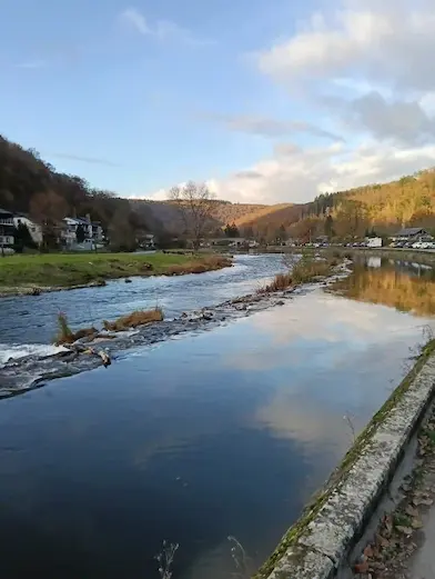 Blick auf den Fluss Semois und den Ardennenwald
