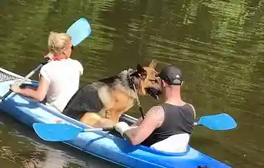 Location de kayak et descente de la Semois dans les Ardennes belges