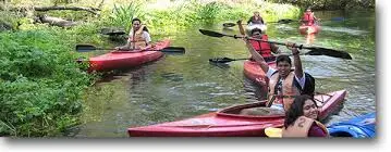 Ambiance nature teambuilding