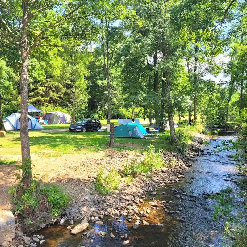 Exploration forestière au départ du camping