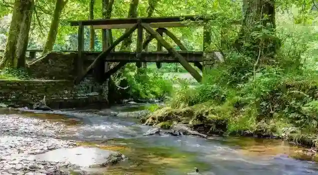 Herbeumont – Forêts de Conques – Sentiers de trail