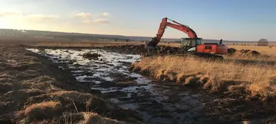 Durch das LIFE-Projekt Croix-Scaille in Wallonien renaturiertes Hochmoor