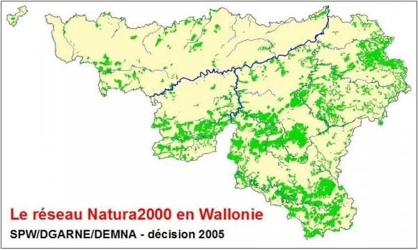 Besonderes Erhaltungsgebiet Natura 2000 – wallonische Feuchtwiesen und Heidelandschaften