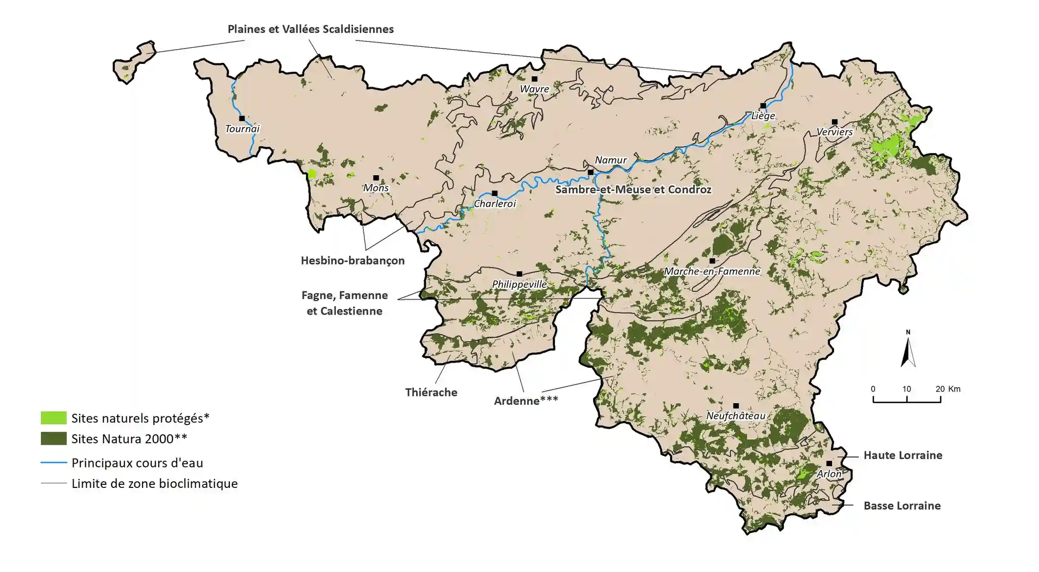 Auenwald BE 7 – überschwemmungsgefährdeter Bereich, geschützt unter Natura 2000