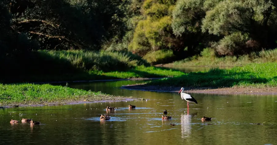 Extensive Landwirtschaft in einer Natura 2000-Zone – geschütztes Dauergrünland