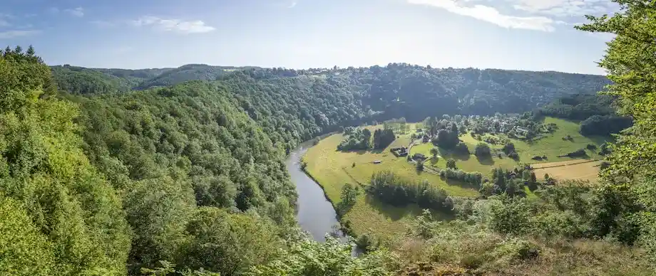 Forêt ardennaise aux couleurs d'automne dans le Parc national de la Semois – hêtres centenaires