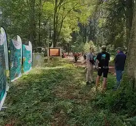 Martin-pêcheur commun en vol au-dessus de la Semois – biodiversité du parc national