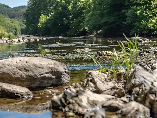 Kayak sur la Semois traversant le Parc national de la Vallée de la Semois