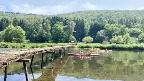 Détail du tressage en noisetier — claies du pont de Laforêt