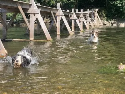 Pont Cassé de Bohan, vestiges du viaduc SNCV détruit en août 1944